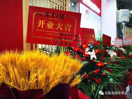 龙园号品牌