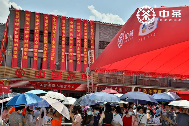 中茶大红印传世之作广州芳村全国首发