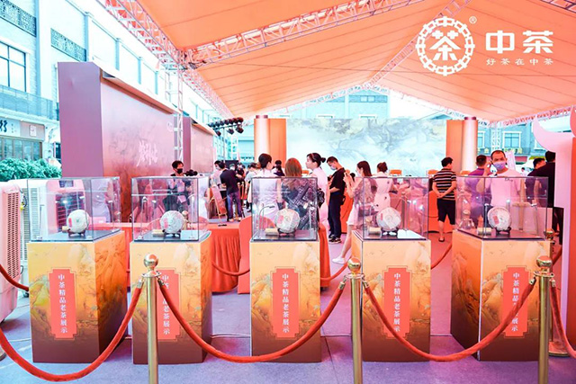不老的岁月老茶展