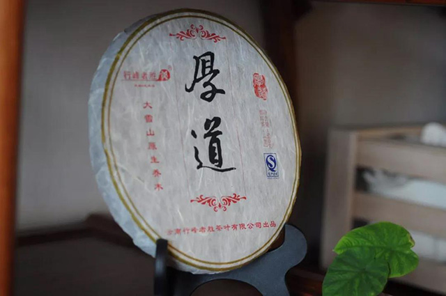 厚道普洱茶