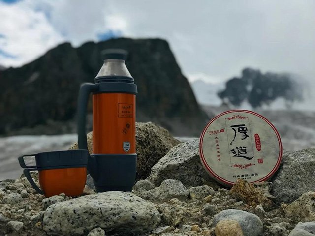 厚道普洱茶