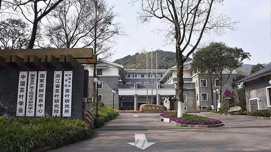 中国农业科学院茶叶研究所