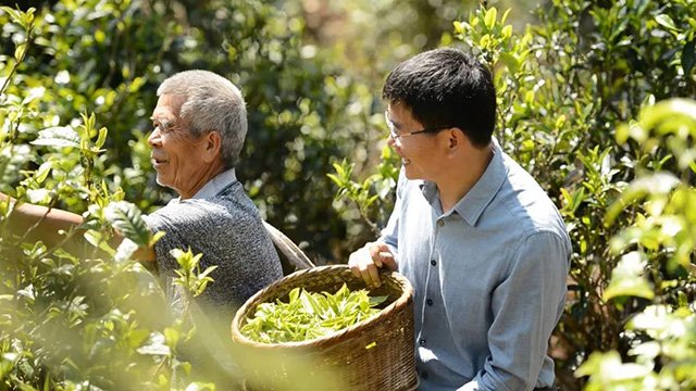 勐库戎氏茶业第四届中国国际茶叶博览会