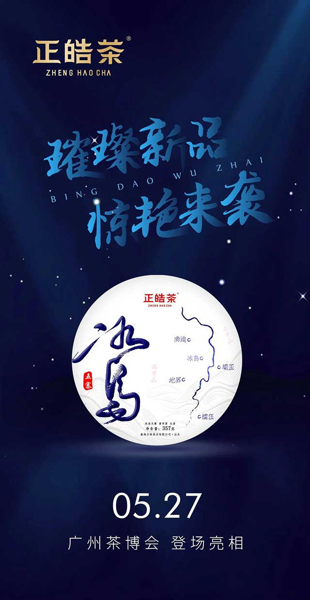 正皓茶冰岛五寨普洱茶