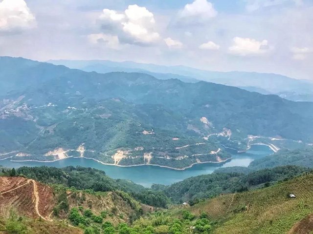 正皓茶冰岛五寨普洱茶