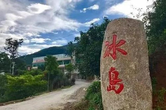 正皓茶冰岛五寨普洱茶