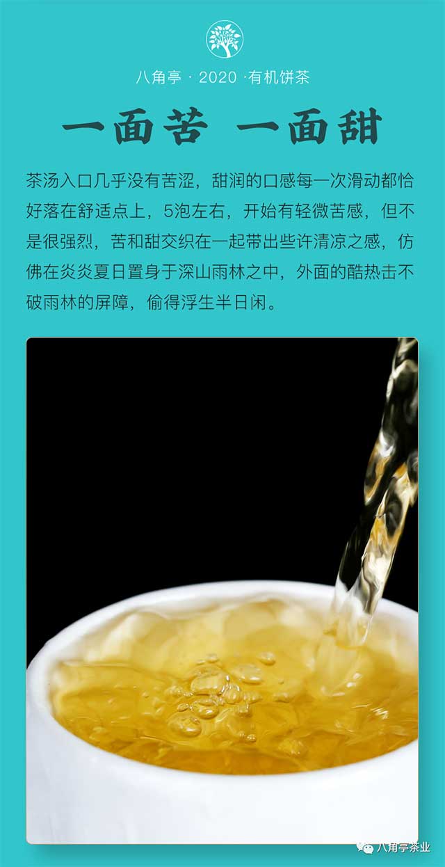 �˽�ͤ�л�����618ȫ������
