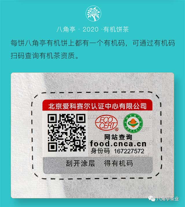 �˽�ͤ�л�����618ȫ������
