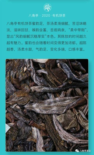 �˽�ͤ�л�����618ȫ������