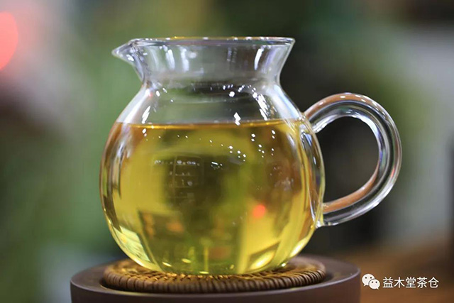 益木堂茶仓珍品冰岛普洱茶