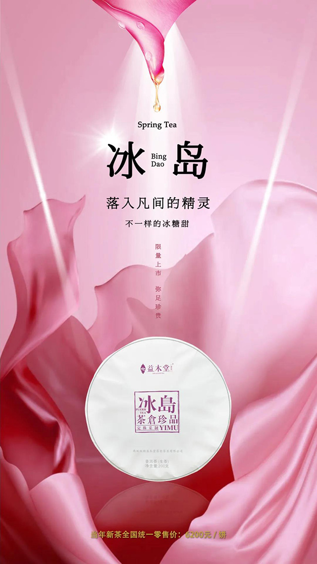 益木堂茶仓珍品冰岛普洱茶
