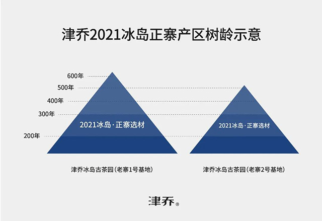 津乔普洱冰岛正寨