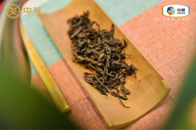 中茶普洱茶