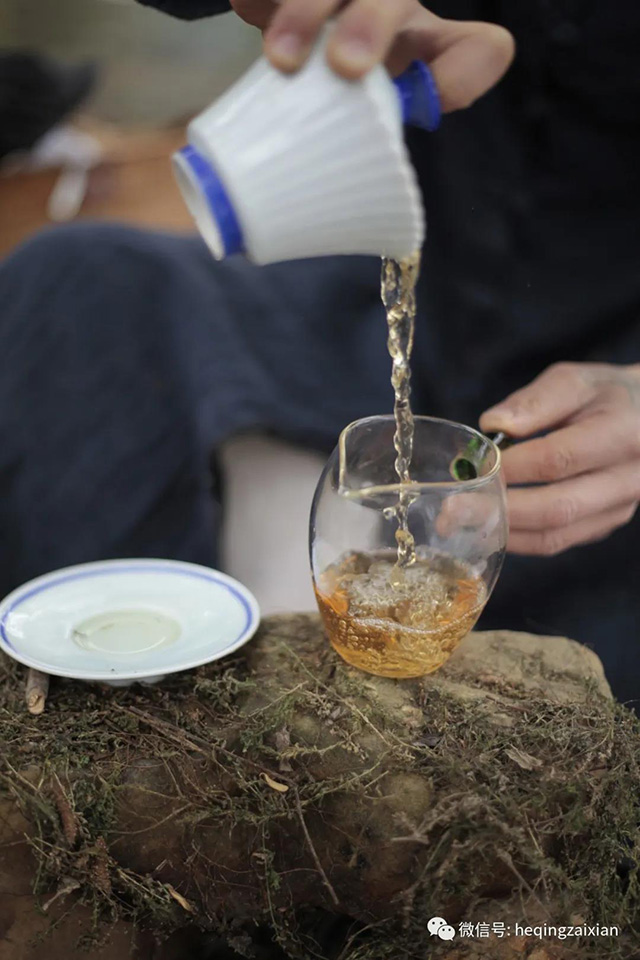 荒山大野勐麻河普洱茶
