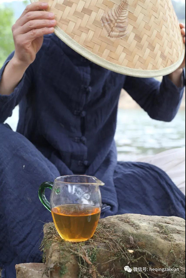 荒山大野勐麻河普洱茶