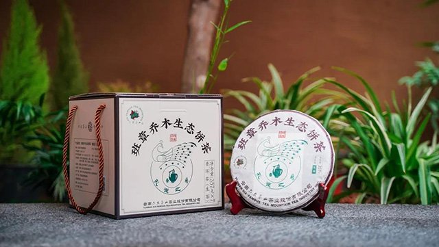 六大茶山班章乔木生态饼茶生茶