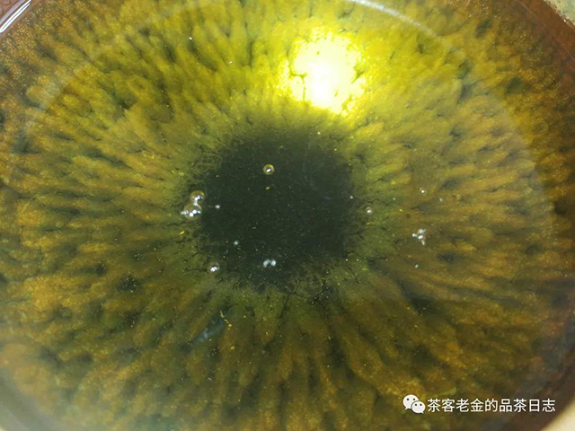 三域古茶大忠山茶