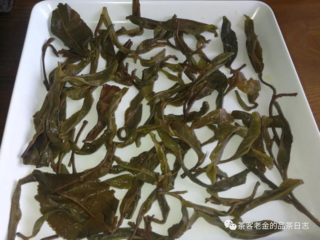 三域古茶大忠山茶