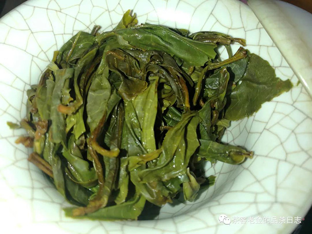 三域古茶大忠山茶