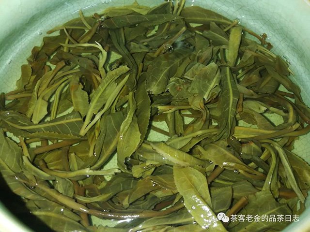 吾茶共饮箐瑶