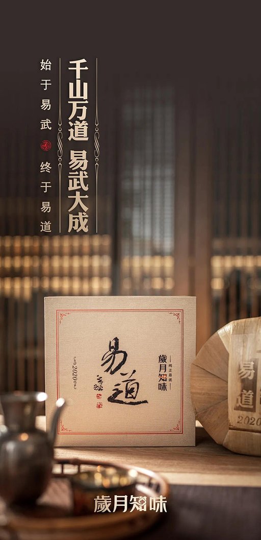 岁月知味易道易武茶