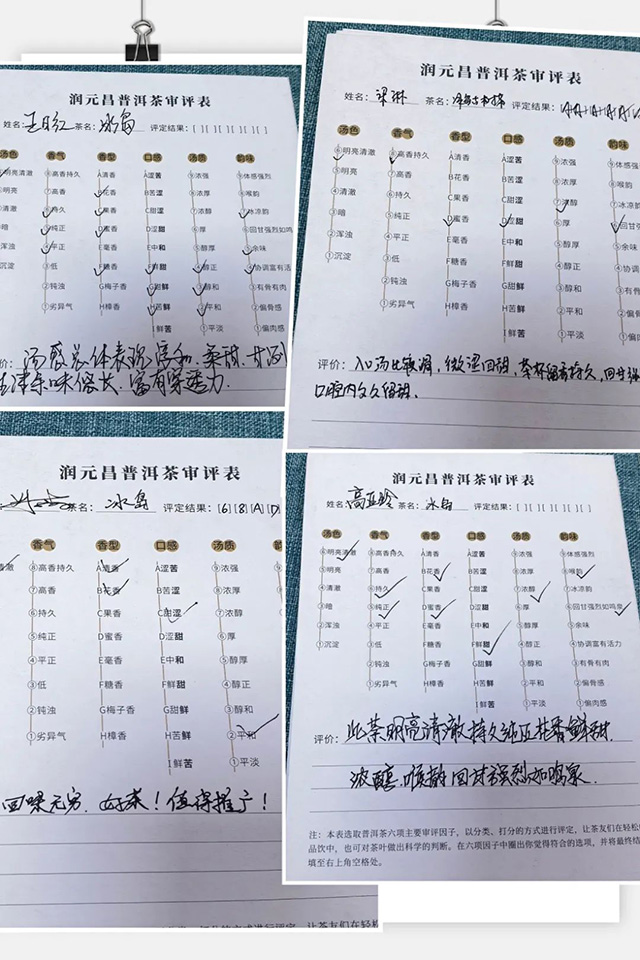 润元昌冰岛古树茶品鉴会