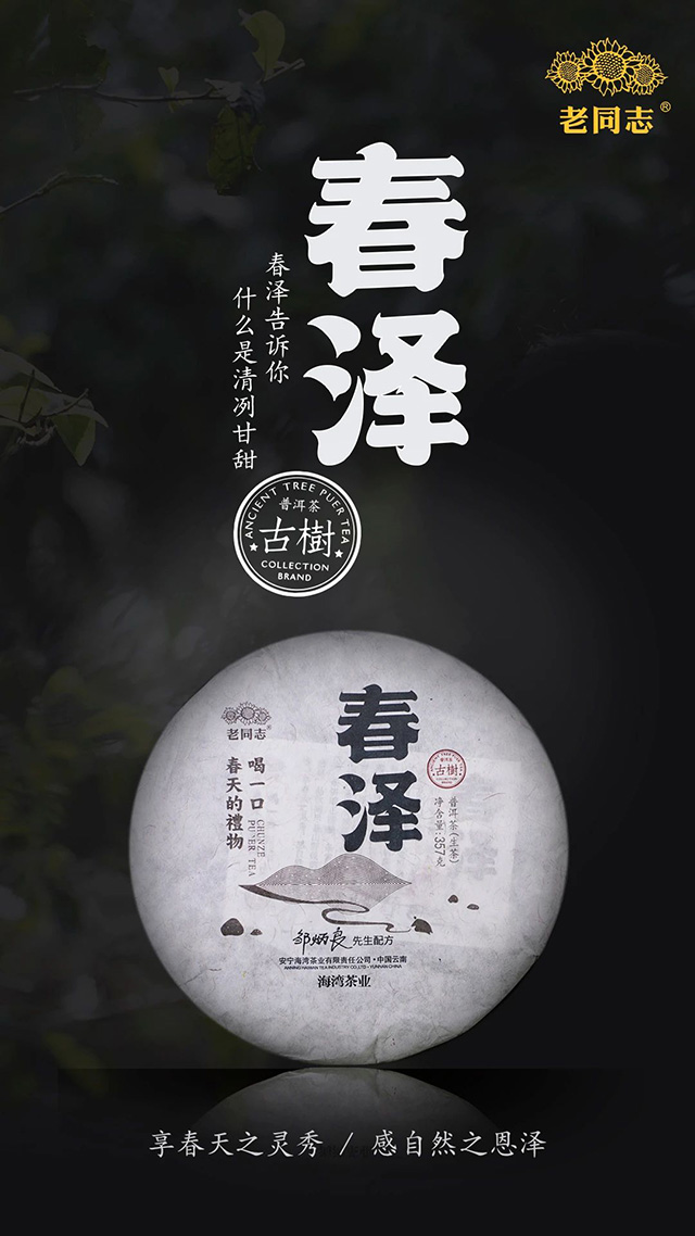 海湾茶业春泽普洱茶