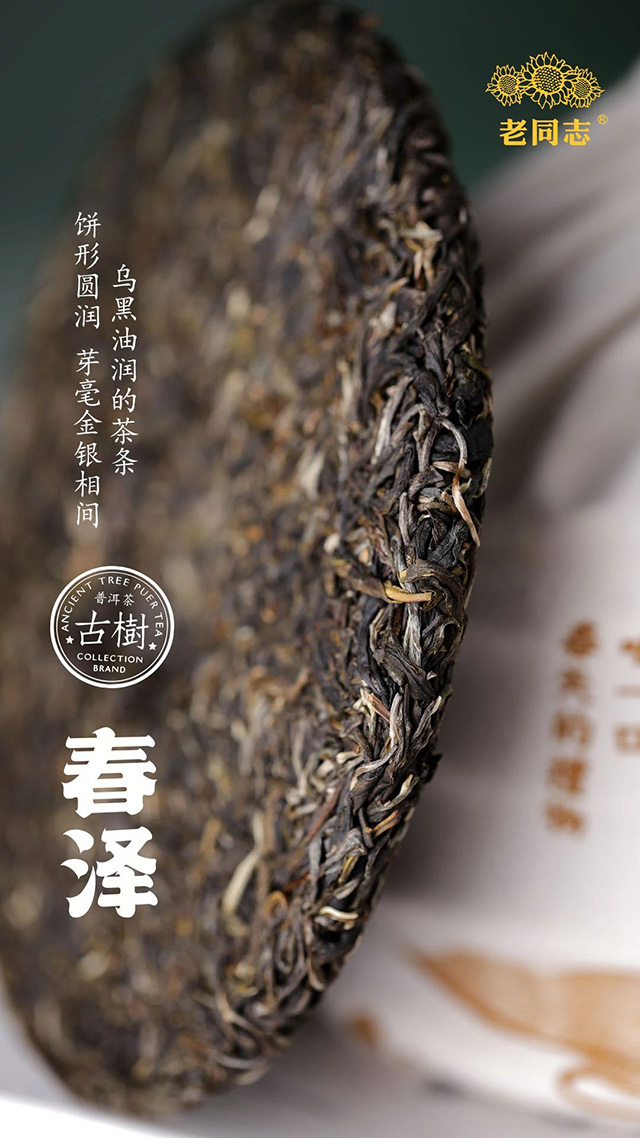 海湾茶业春泽普洱茶
