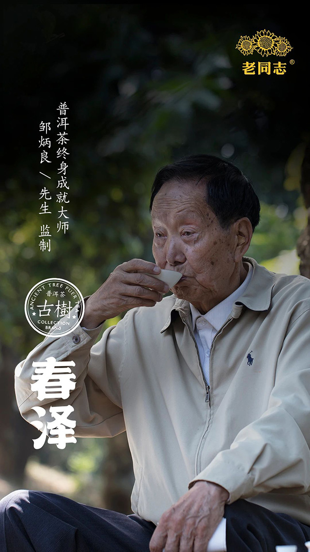 海湾茶业春泽普洱茶