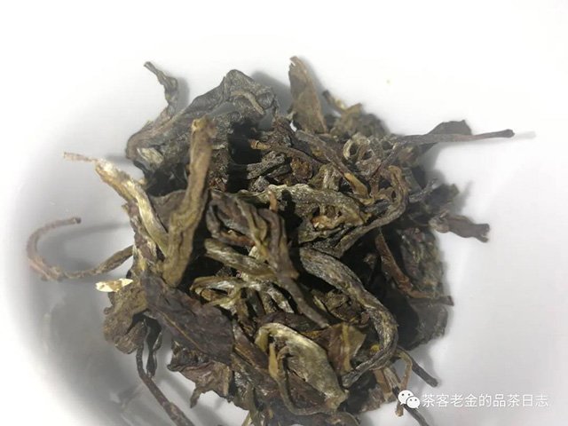 庄生晓梦2021年正气塘