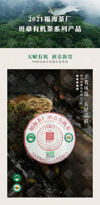 福海茶厂福海班章有机茶
