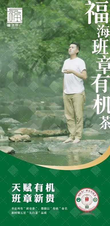 福海茶厂福海班章有机茶