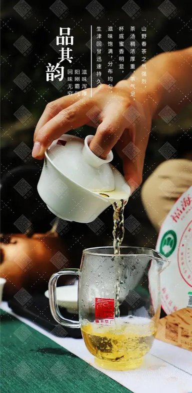 福海茶厂福海班章有机茶
