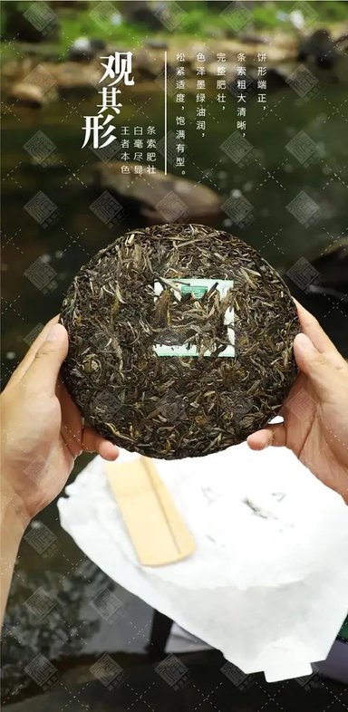 福海茶厂福海班章有机茶