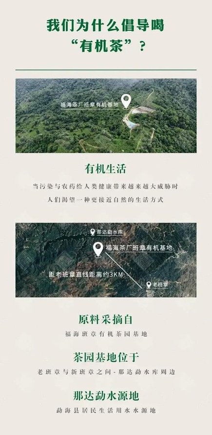 福海茶厂福海班章有机茶