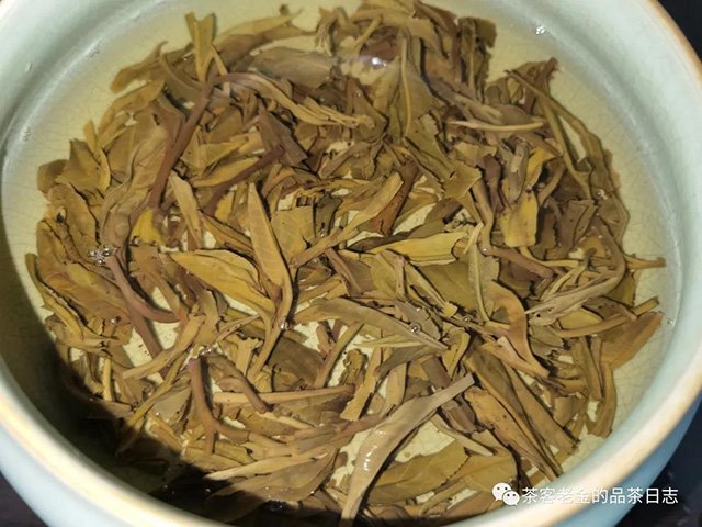 小茶号邦崴古树普洱茶