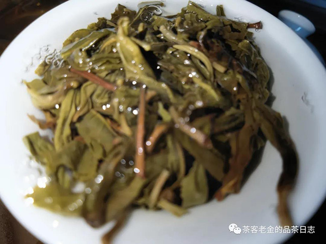 三域古茶2021年冰岛老寨春茶