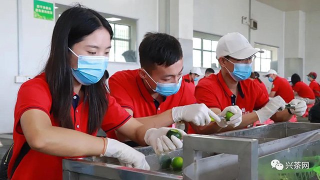 第六届中国新会陈皮文化节