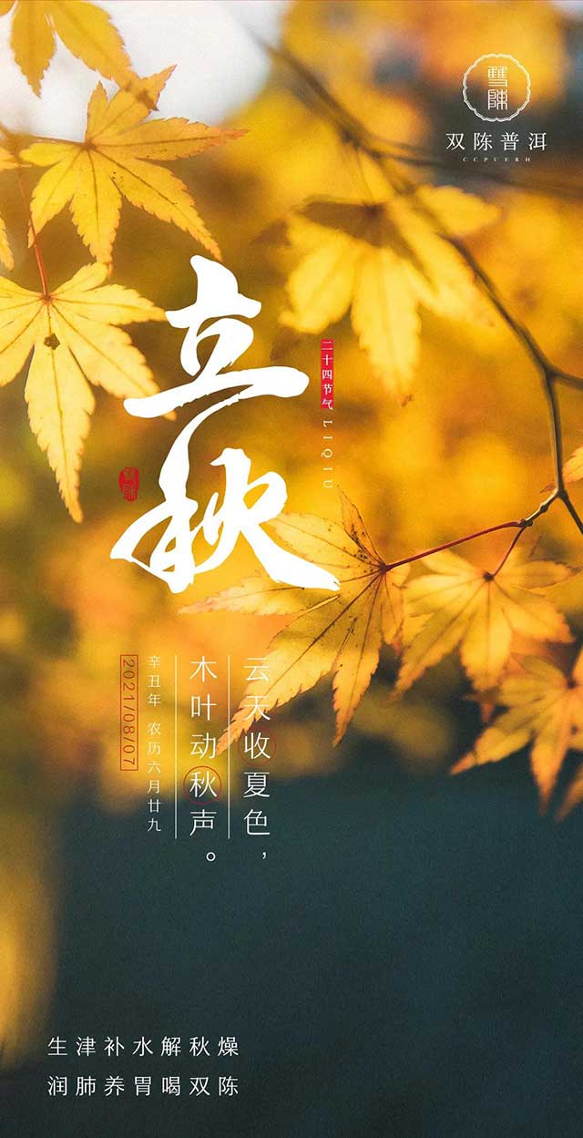 双陈普洱茶