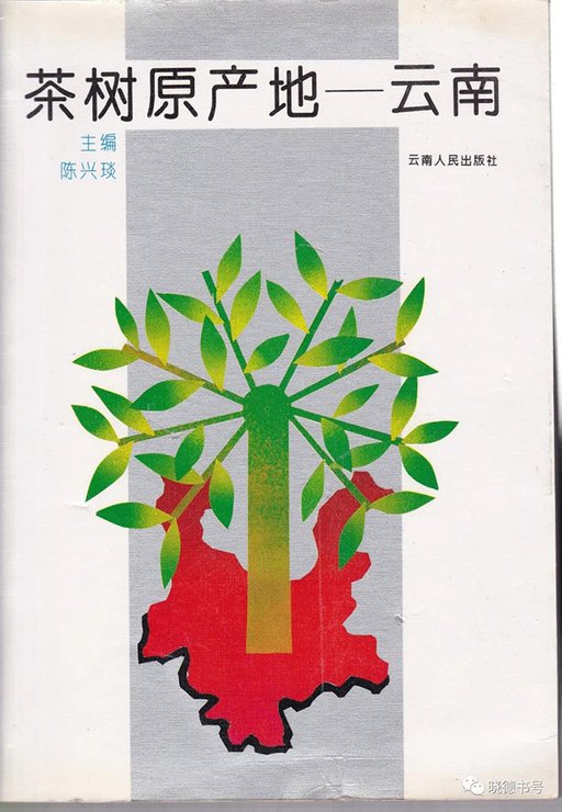 茶树原产地云南