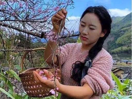 福建武夷山网红乡愁沈枝丹