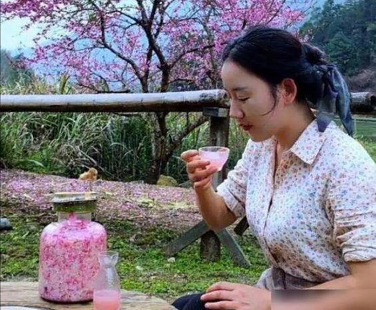 福建武夷山网红乡愁沈枝丹