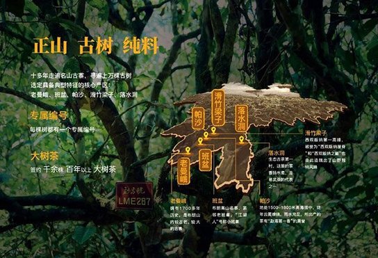 勐昌號普洱茶加盟店