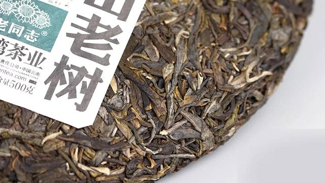 老同志2021年深山老树生饼