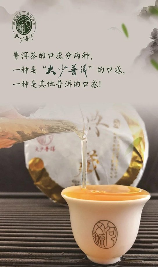 大少普洱茶品牌