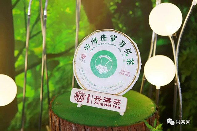 佳兆业兴海班章有机茶
