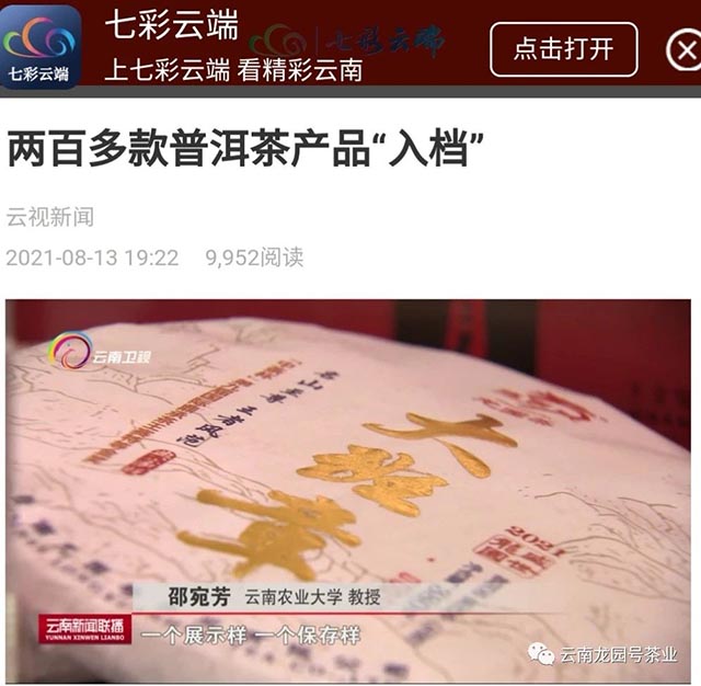 云南省档案馆品牌普洱茶建档产品