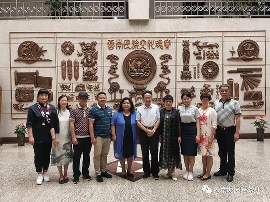 云南省档案馆品牌普洱茶建档产品
