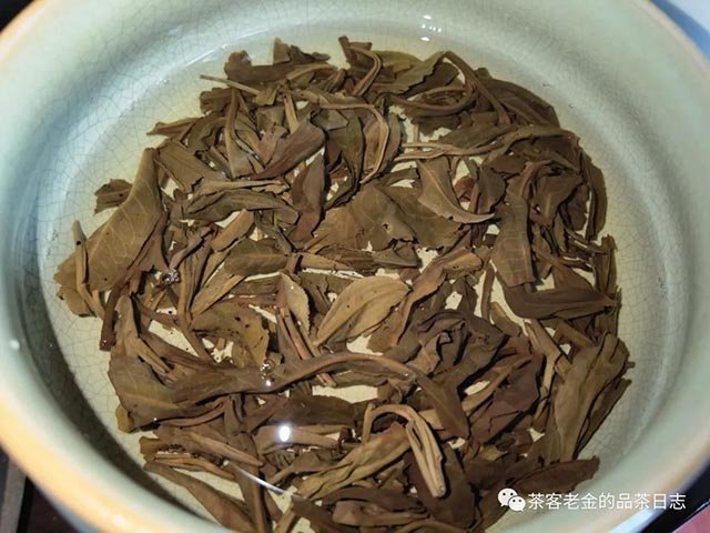 斗记金斗普洱茶