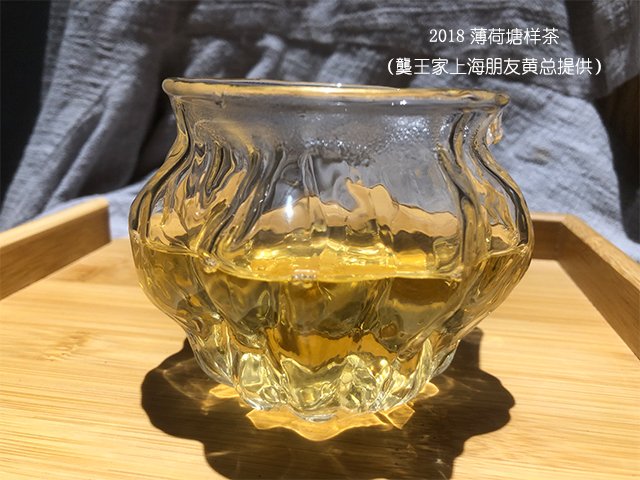 上海老茶人黄总提供的薄荷塘